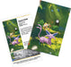 30th Celebration Mini Tin 5-Pack - Random Artwork | Pokemon TCG