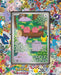 30th Celebration Ditto Premium Collection | Pokemon TCG