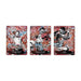3rd Anniversary Set English Version (Ace, Sabo & Luffy) | One Piece Card Game