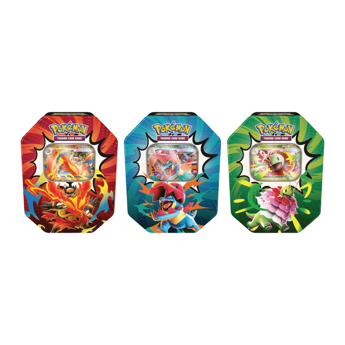 Ascended Heroes Tin - Assorted (Mega Emboar ex, Mega Feraligatr ex or Mega Meganium ex) | Pokemon TCG